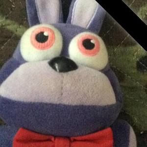 Meet your Posher, Zoe